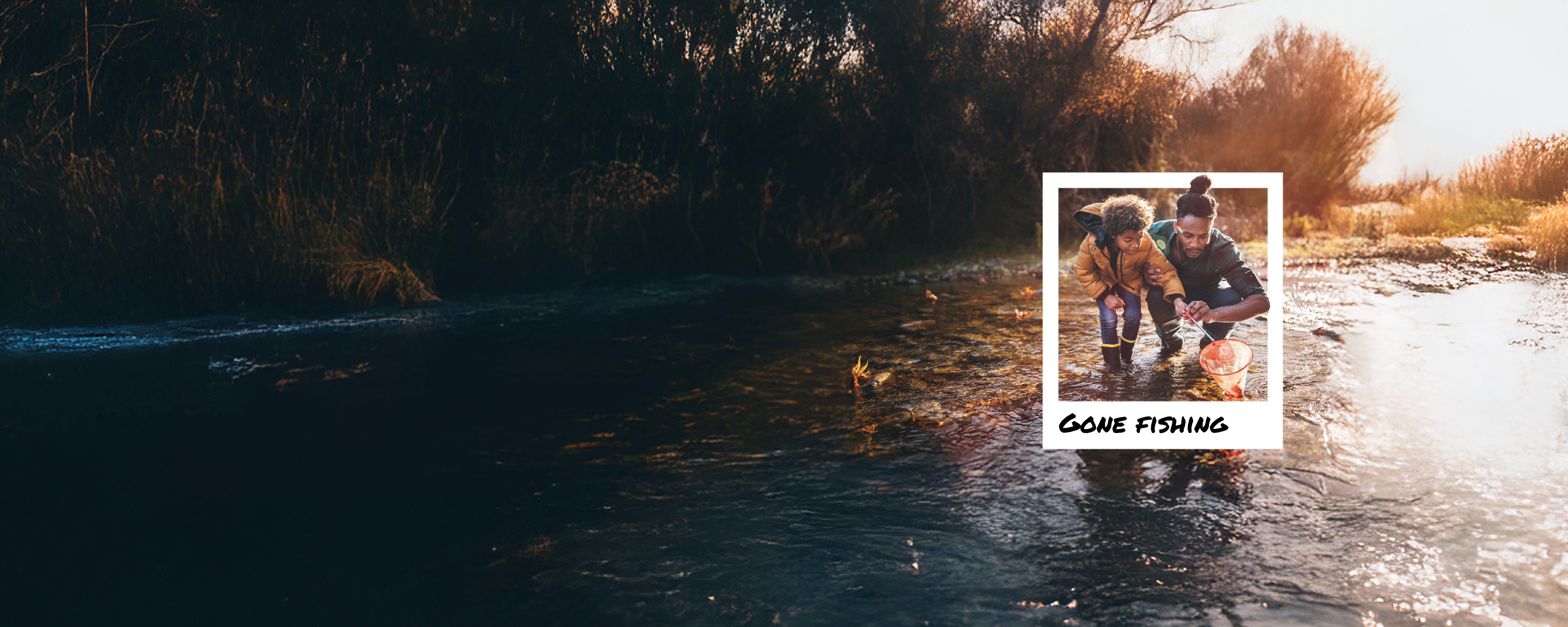 container background image