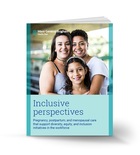 Inclusive perspectives eBook cover image
