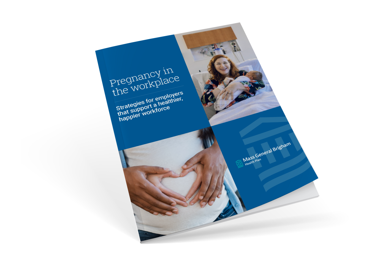 Pregnancy in the workplace eBook cover image
